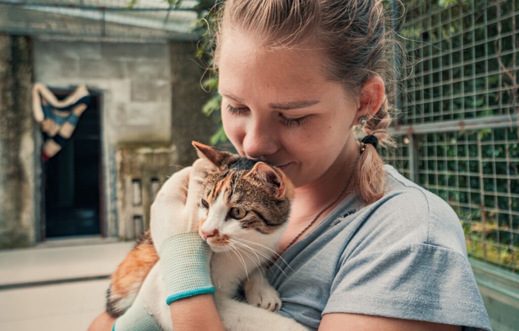 Eine Katze adoptieren: Was Sie beachten sollten