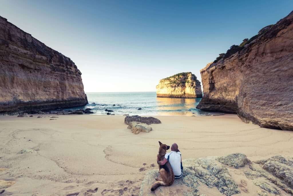 Die besten hundefreundlichen Strände an der Algarve für Ihren Urlaub mit Hund