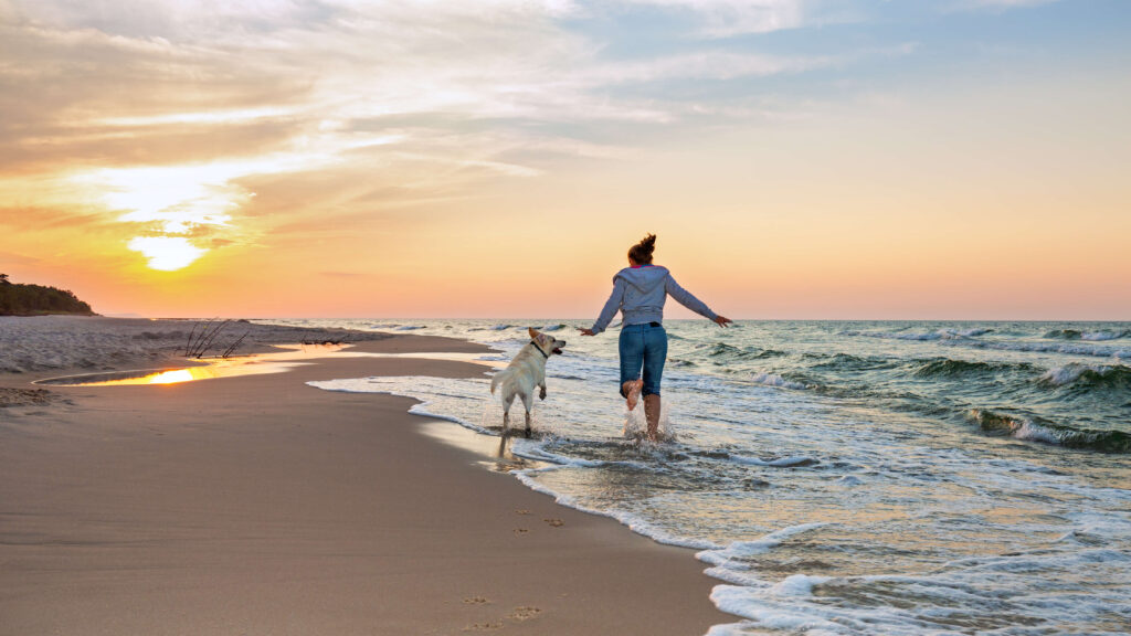 Urlaub mit Hund – Die besten Tipps für entspannte Reisen