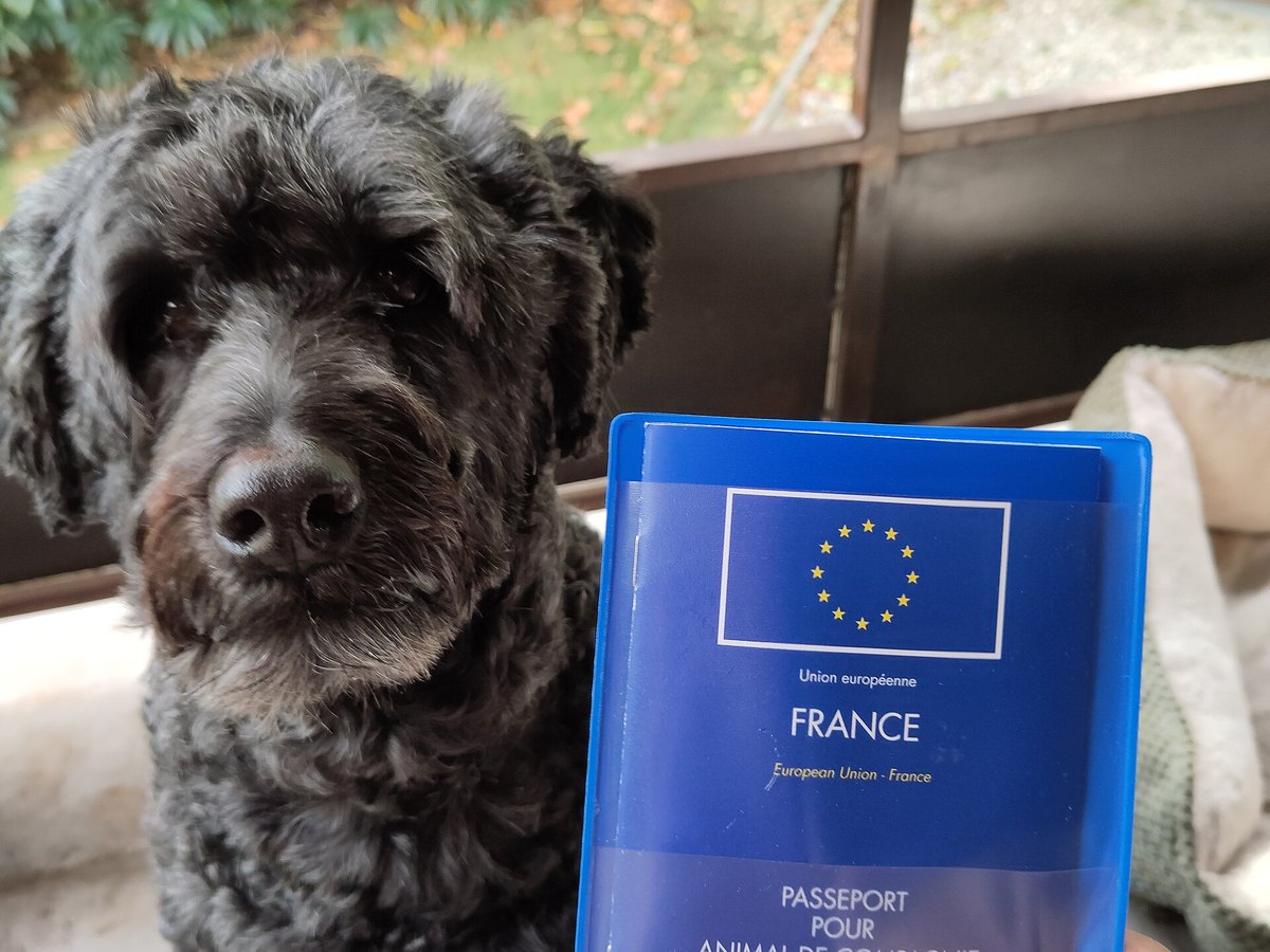 EU-Heimtierausweis
